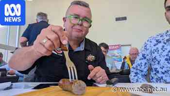 What makes a great Aussie banger? The sausage kings aim to find out