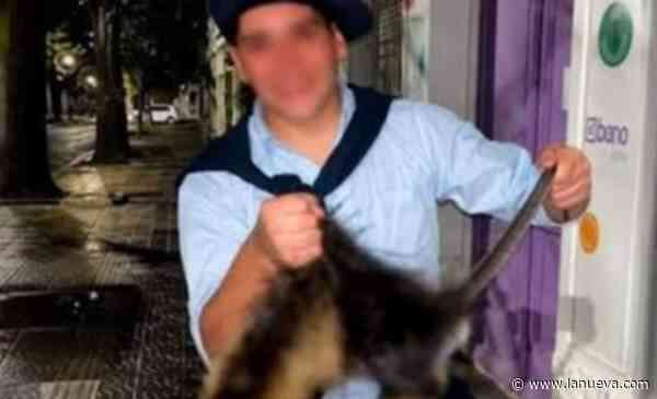 Allanaron dos viviendas por las amenazas a los jóvenes involucrados en el caso de la nutria