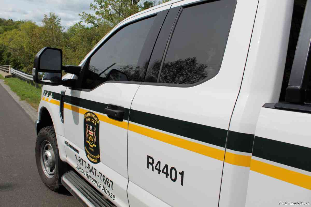 MNR says vehicles, trailer and container remained on public land through winter in North Bay area case