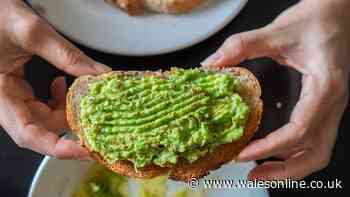 Stop mashing avocado as a crispy alternative is tastier and easier to make