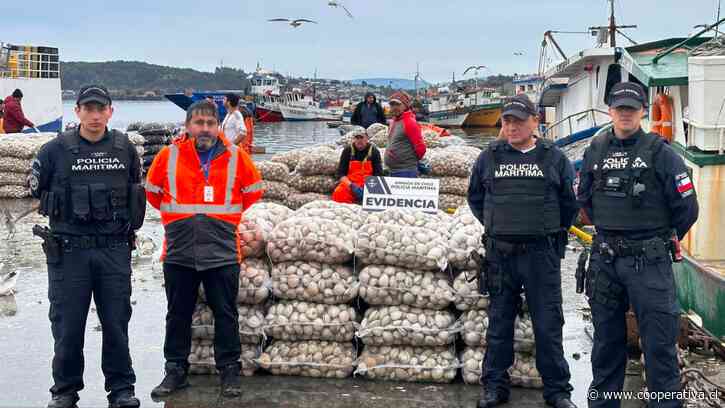 Incautaron 1.500 kilos de almejas con marea roja en Quellón