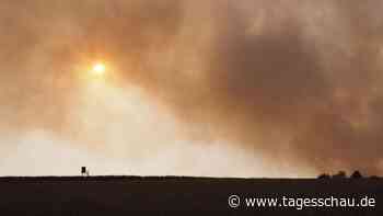 Kampf gegen die Flammen im Hürtgenwald
