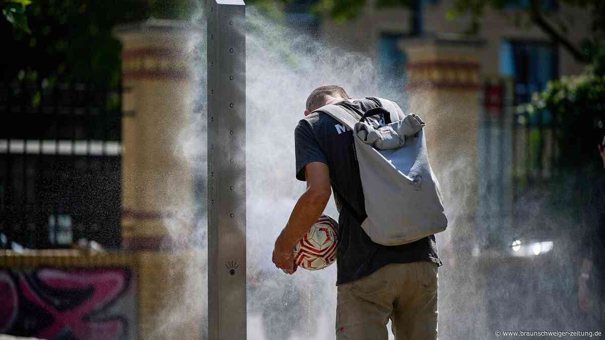 12.500 Hitzetote: Wie kommt das RKI auf diese Zahl?