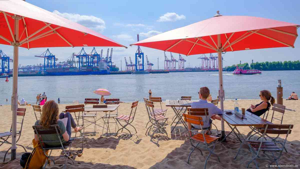 „60 Stiche in einer Stunde“: Mini-Plagegeister treiben an der Elbe ihr Unwesen