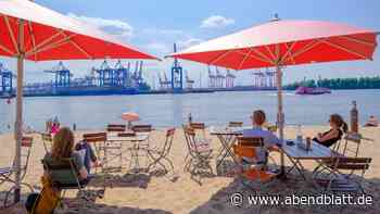 „60 Stiche in einer Stunde“: Mini-Plagegeister treiben an der Elbe ihr Unwesen