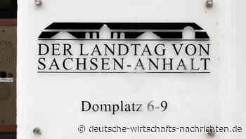 Landtagswahl Sachsen-Anhalt: Das sind die Spitzenkandidaten