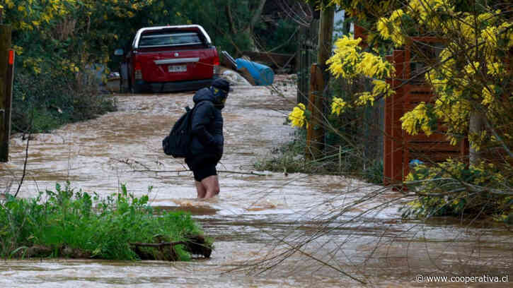 La Araucanía: Más de 3.700 agricultores reportan graves daños tras sistema frontal