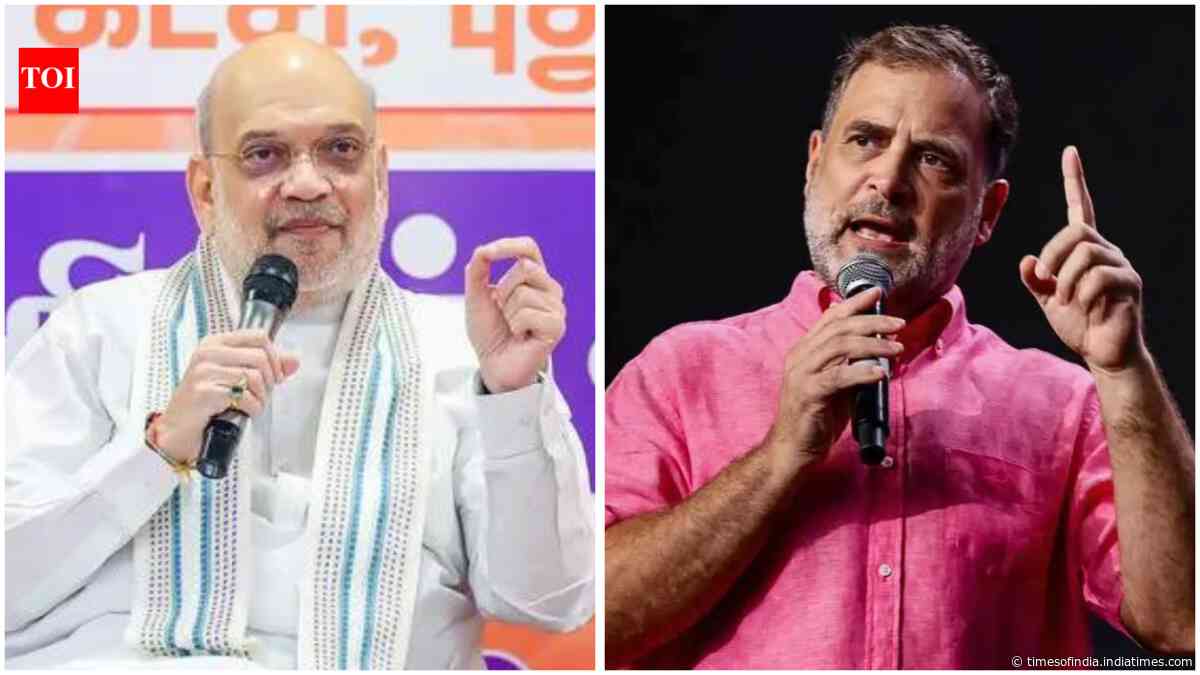 'Freedom not merely gift but responsibility': Rahul Gandhi, Amit Shah, Kharge, Rajnath Singh mark 80th Independence Day