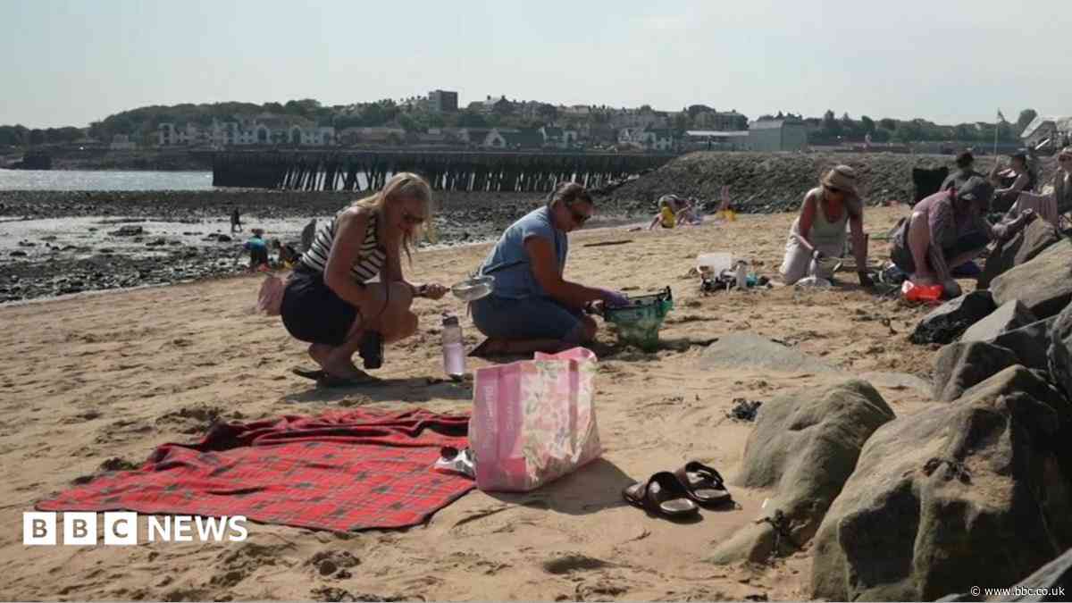 High spring tides could affect nurdle clean up