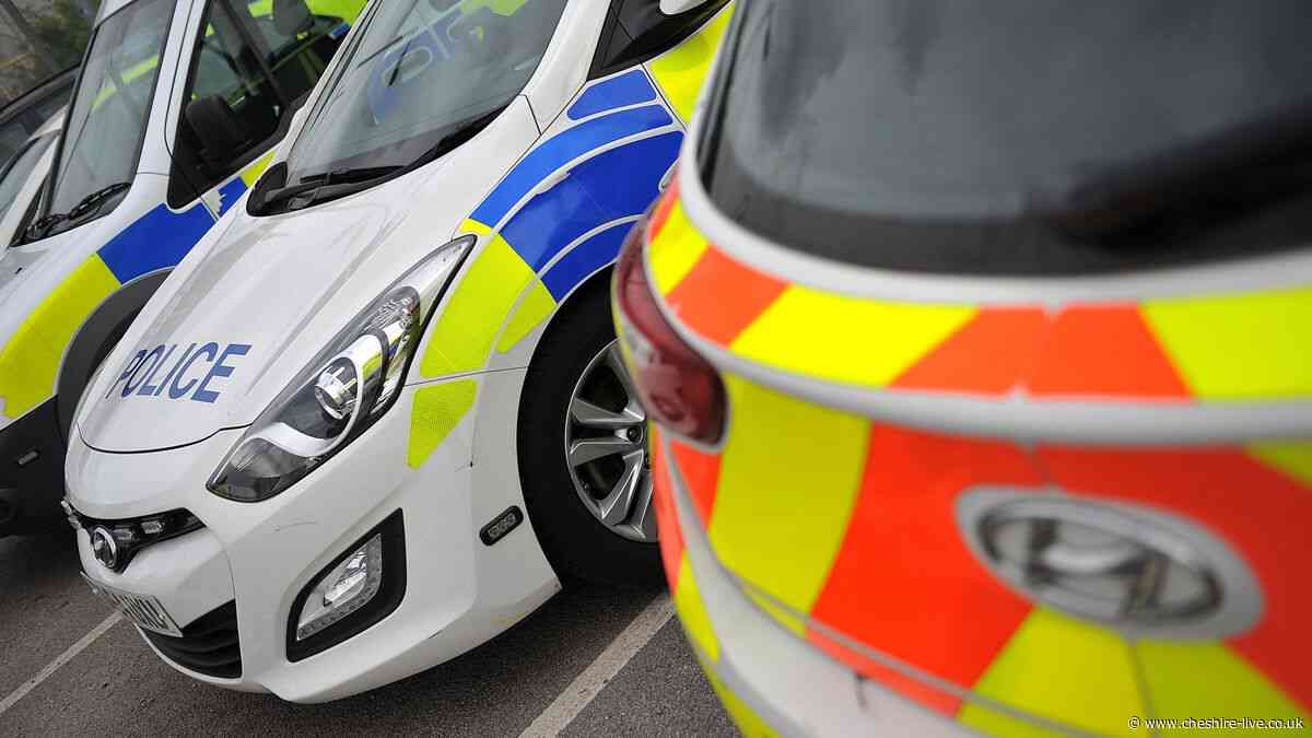 Boy, 15, mugged by gang of youths as police launch appeal