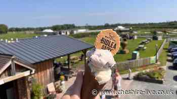 Cheshire's award-winning ice cream farm with a zoo next door