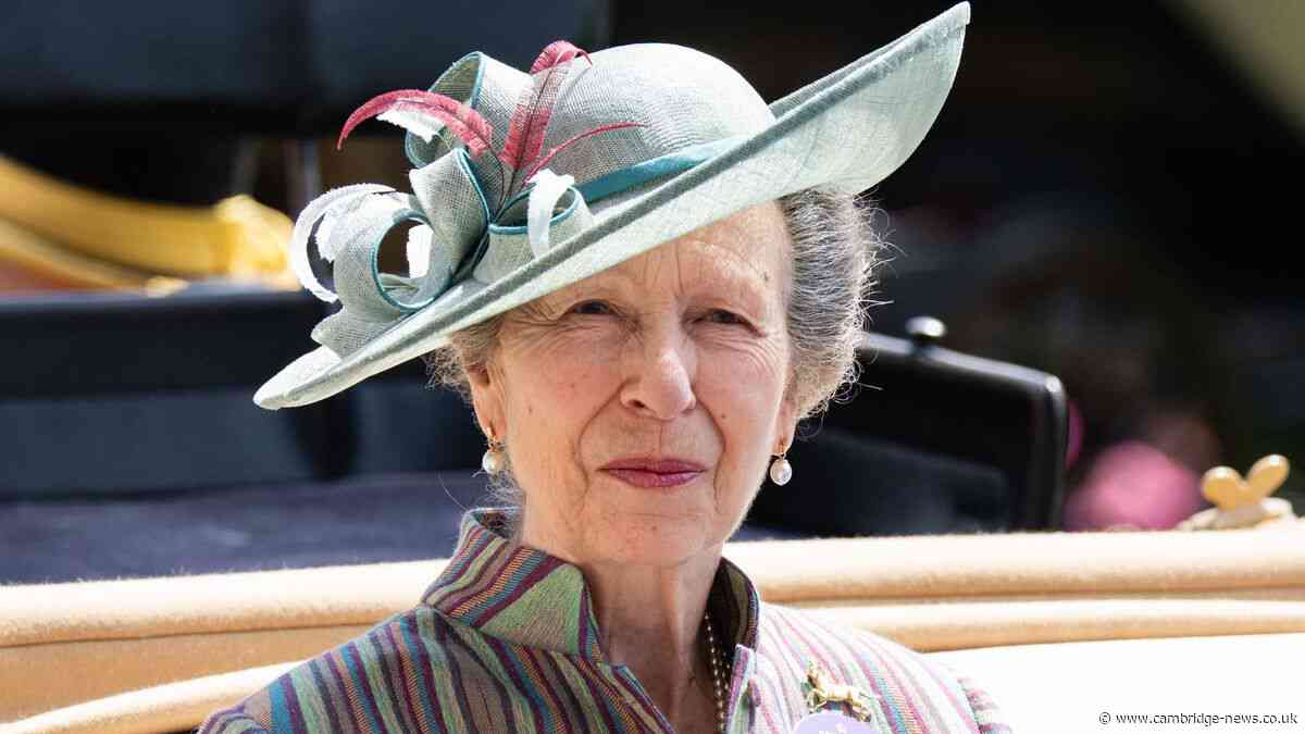 Princess Anne's subtle dig at Prince Harry and Meghan hints at her true feelings