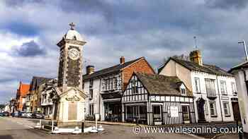 I've explored loads of Welsh market towns, this is the one I keep going back to