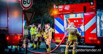 Brand in park De Hoge Veluwe: 1 hectare verloren