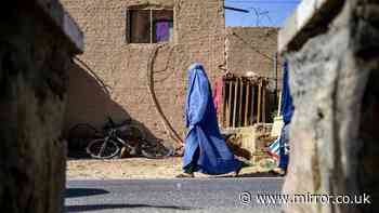 'I was a free woman then Taliban stole my voice and job and locked me in home'