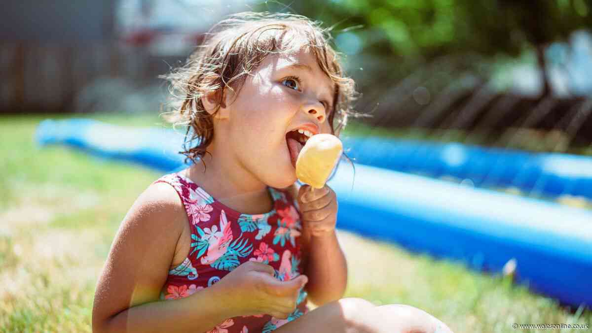 21 ice lollies we've loved and lost from Funny Feet to Strawberry Mivvi - how many do you remember?