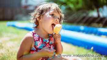 21 ice lollies we've loved and lost from Funny Feet to Strawberry Mivvi - how many do you remember?