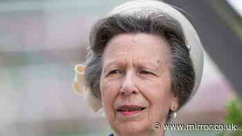Princess Anne's timeline for her royal future as she reaches another milestone