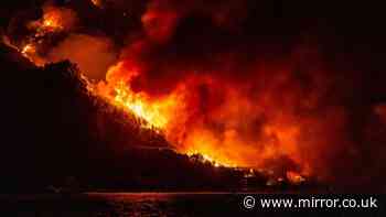 At least one dead as huge Croatia wildfire forces 1,200 locals and tourists to flee