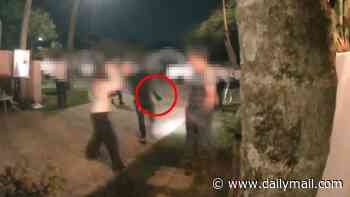 Party crasher's alleged attack on Brisbane father with crowbar at 18th birthday captured on camera