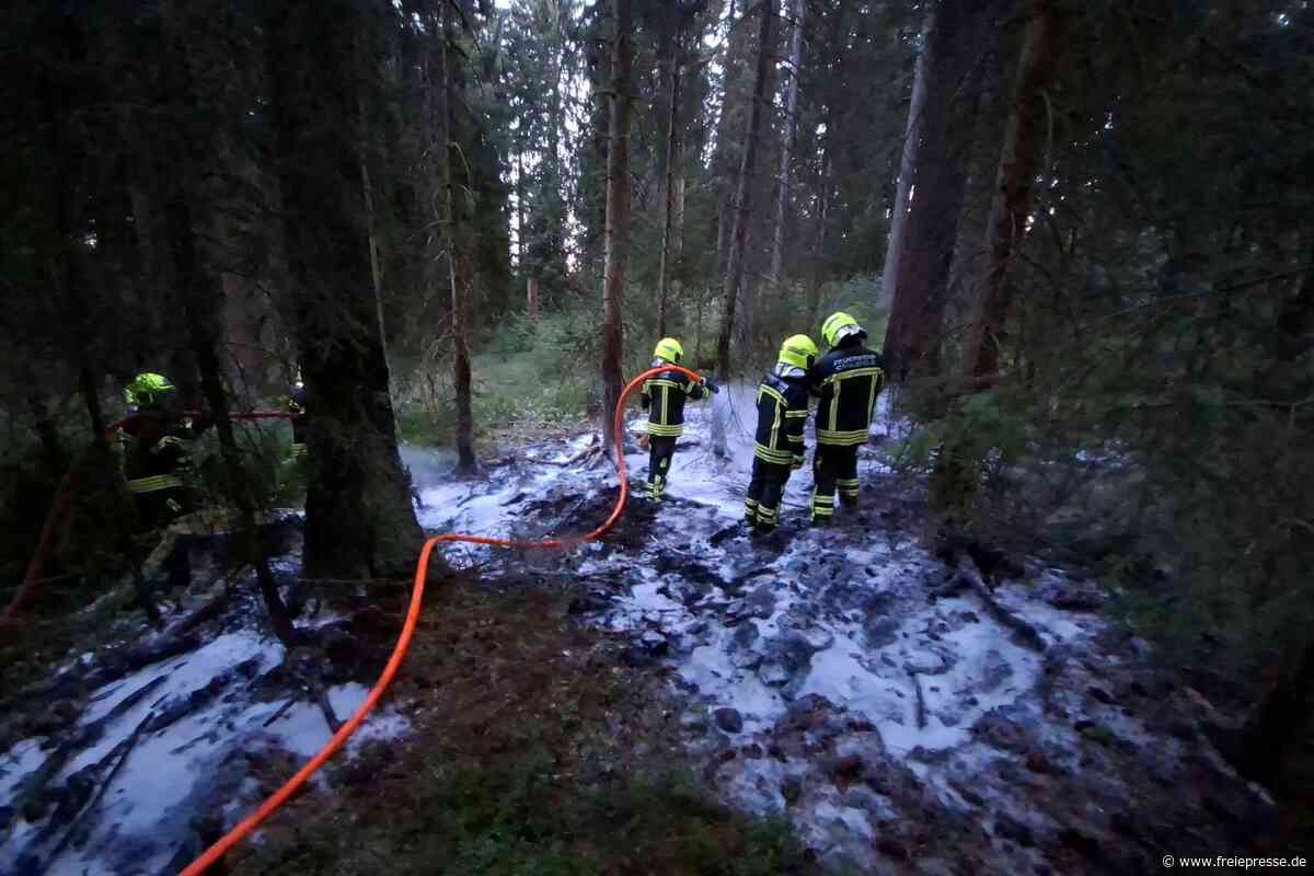 Waldbrand nahe Eibenstock: Drei Feuerwehren rücken aus