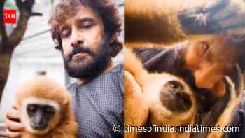 Vikram's Lar Gibbon controversy: Actor's connection explained