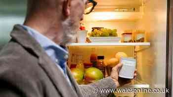 'I pitted this odour-eating device up against the ultimate challenge - the cat treat cupboard!'