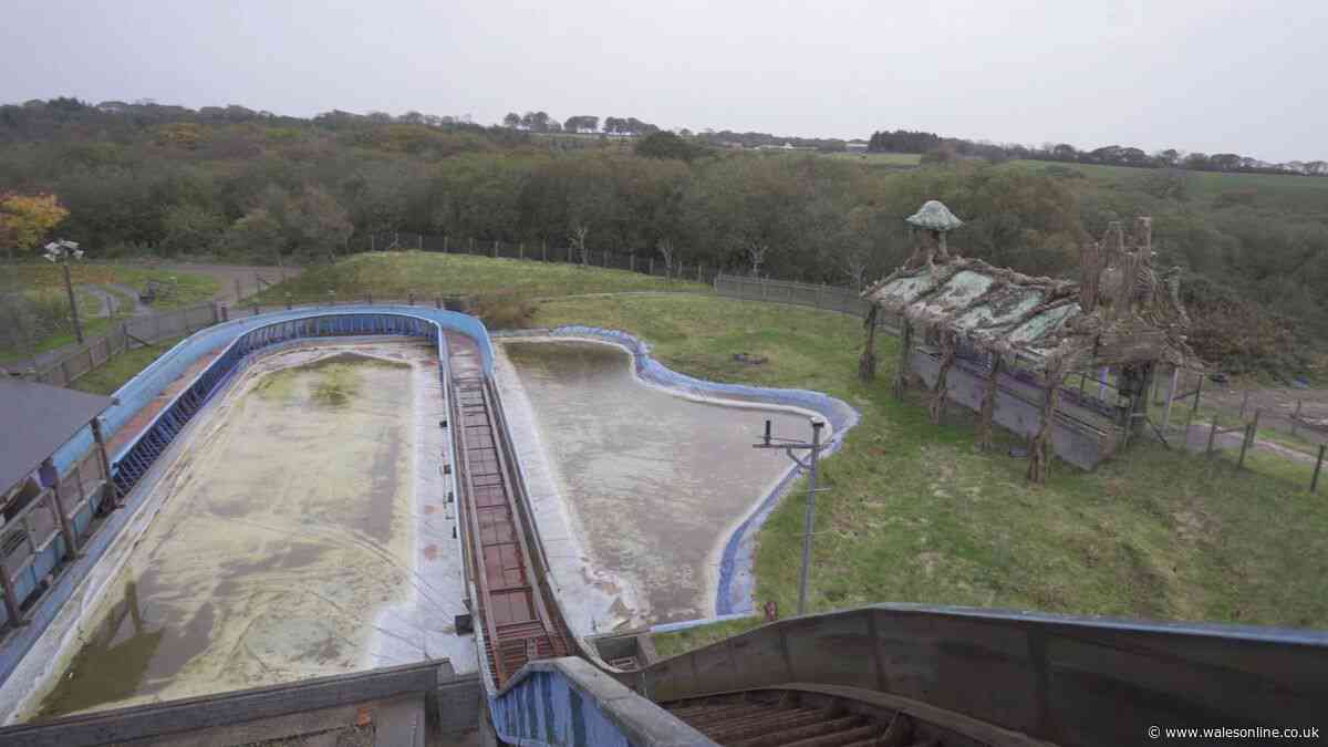 Beloved Welsh theme park forced to close forever after 39 years and taken over by nature
