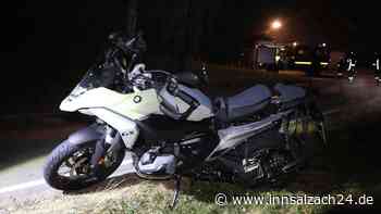Motorradfahrer erfasst Reh auf Staatsstraße 2353 bei Reichertsheim – Tier sofort tot