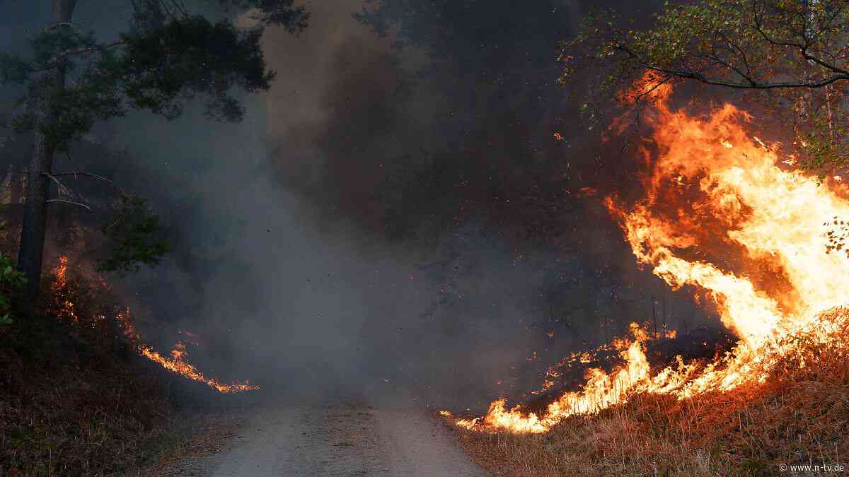 Große Brände im Überblick: Wenn Deutschlands Wälder in Flammen stehen