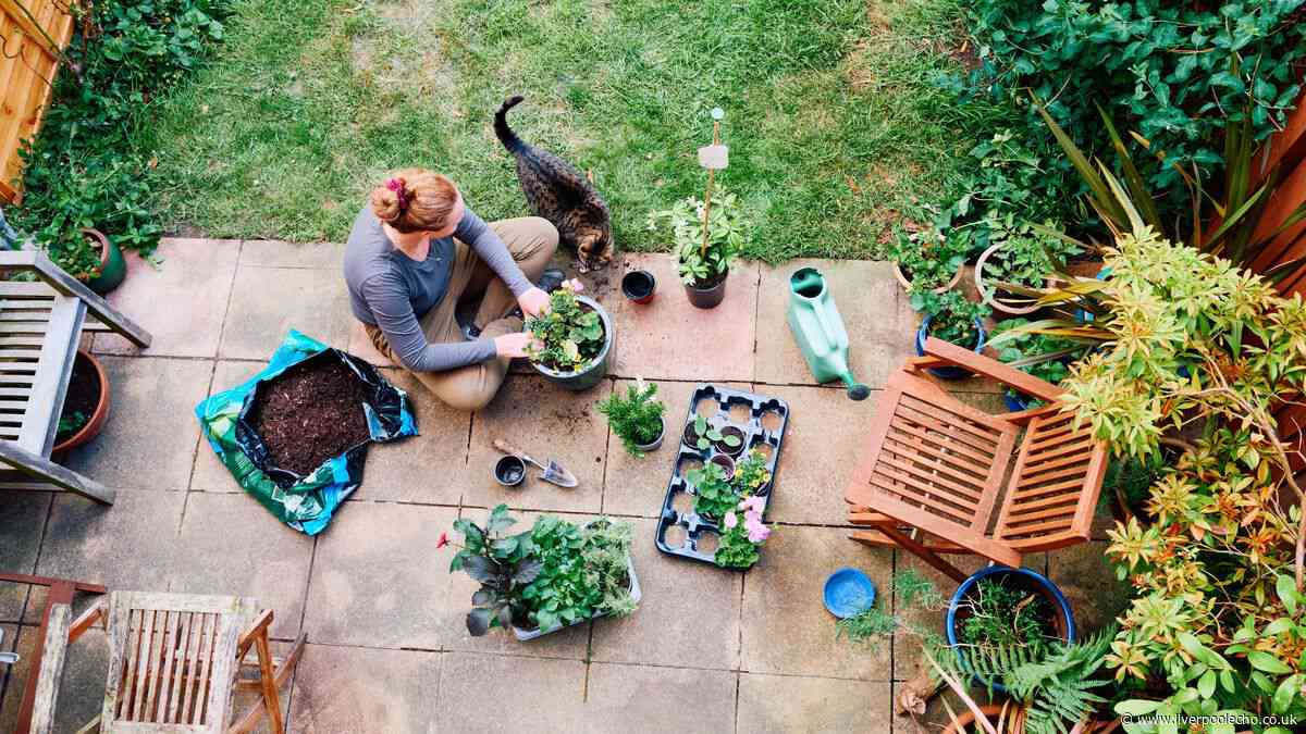 Protect bees from the heatwave by following simple two minute task from stately home's Head Gardener