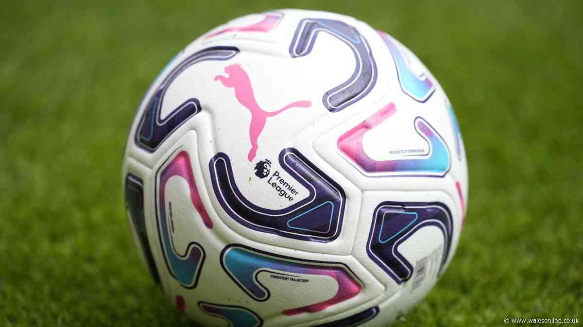 Premier League fans race to get 'lowest ever price' Sky Sports deal before kick-off