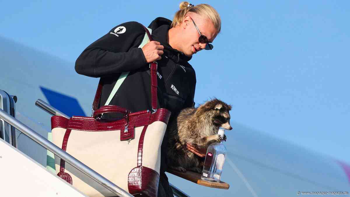 LVMH, Kering, Hermès: Fußballstars Erling Haaland und Jude Bellingham helfen mit ihren Handtaschen