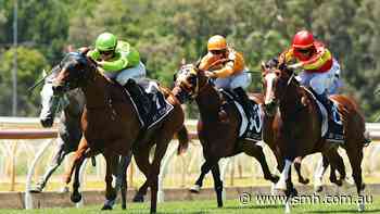 Race-by-race preview and tips for Sunday’s Wyong meeting