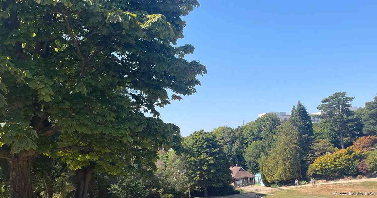 Beautiful Kent park with cooling shade, great value café and superb wooden adventure play area