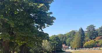 Beautiful Kent park with cooling shade, great value café and superb wooden adventure play area