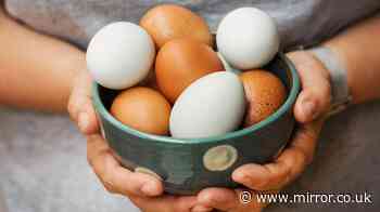 Shoppers buying eggs in UK supermarkets told watch for tiny mark to avoid salmonella
