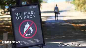 Temporary ban on disposable BBQs as military deployed to help battle wildfires