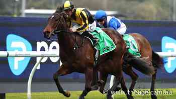 Chilly Girl ready to take flight after red-hot return in Rosebud