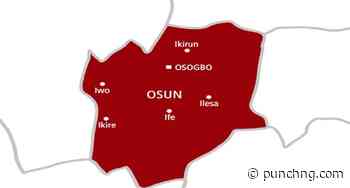 Osun 2026: Voters turn out early in Adeleke’s hometown