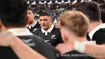 How to watch Bulls vs New Zealand - TV channel and kick-off time