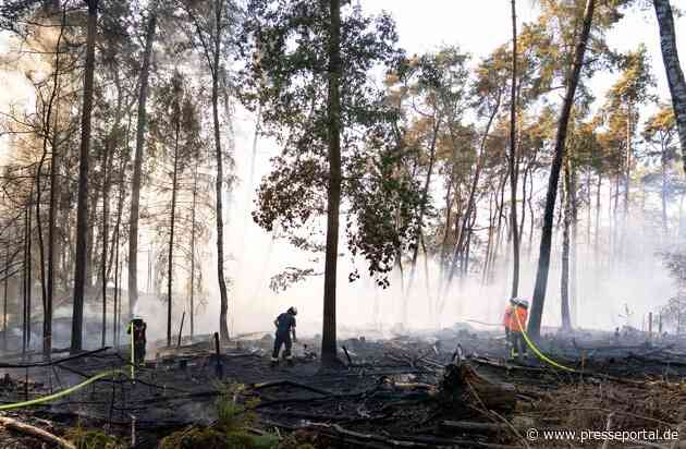 FW LK Neunkirchen: Großflächiger Waldbrand am Wingertsweiher fordert mehrere hundert Einsatzkräfte über zwei Tage