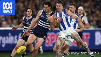 Live: Roos cruelled by Sheezel blow in Cats epic, Lions kick away from Suns
