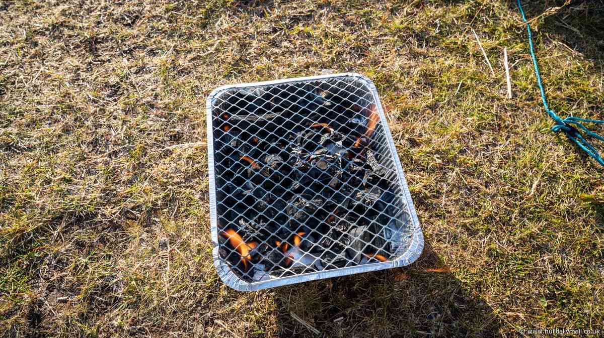 Humberside Fire and Rescue Service backs temporary ban on sale of disposable barbecues