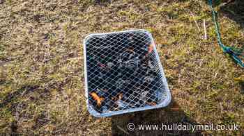Humberside Fire and Rescue Service backs temporary ban on sale of disposable barbecues