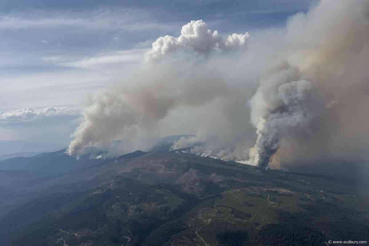 Residents warned to prepare for changes when returning home after a wildfire