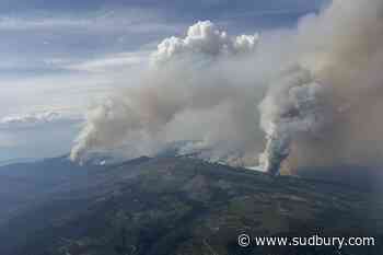 Residents warned to prepare for changes when returning home after a wildfire