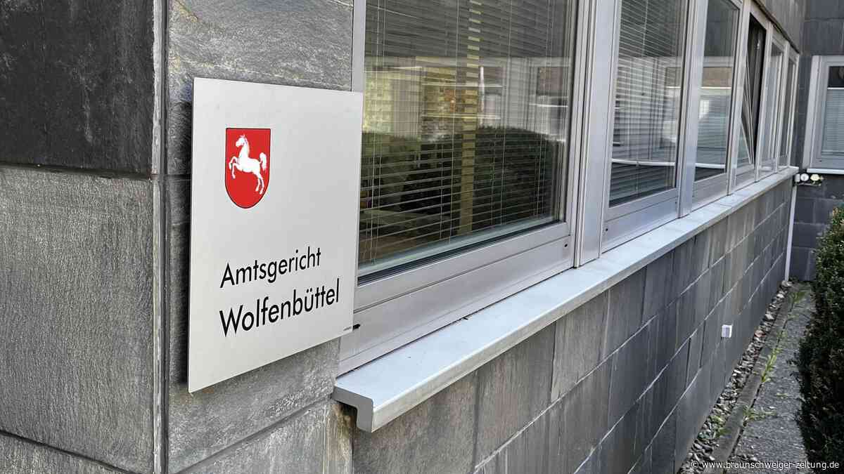Strafbefehl nach Hygienemängeln: Ex-Restaurantbetreiberin aus Wolfenbüttel verurteilt