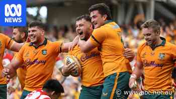 Wallaby 1,000 has 'dream come true' as Australia thrash Japan