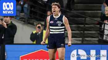 Live: Cats claim thriller over Roos after epic comeback, Lions lead wasteful Suns